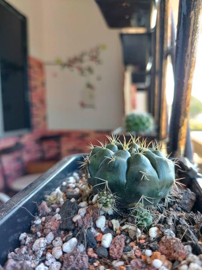 Karya Story Hostel Kudat Zewnętrze zdjęcie